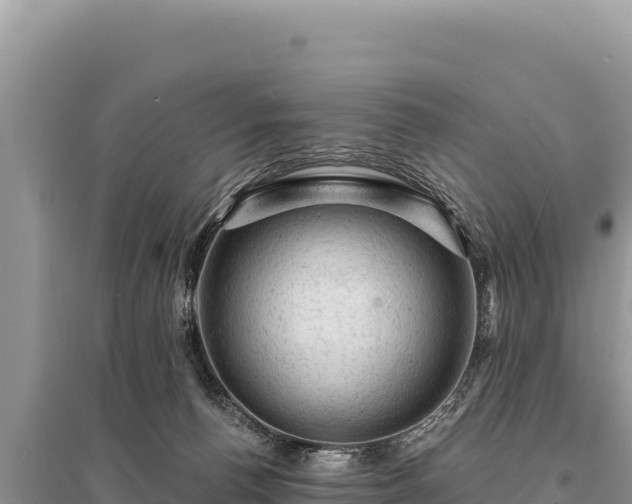 X0000095510176200712211248