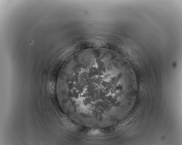 X0000095510177200712211248