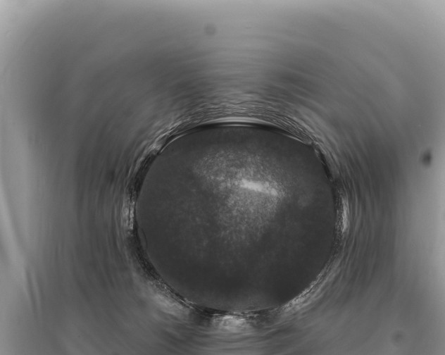 X0000095510180200712211248