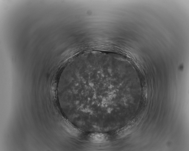 X0000095510181200712211248