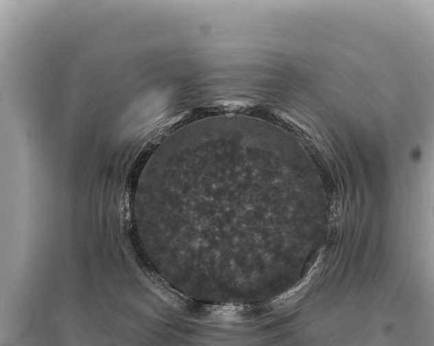 X0000095510182200712211248