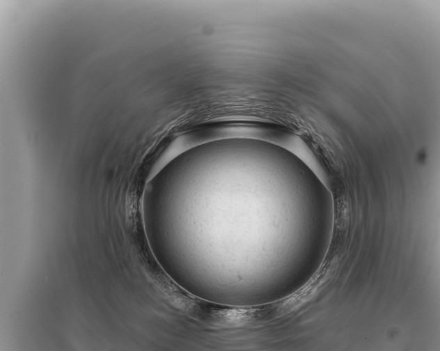 X0000095510184200712211248
