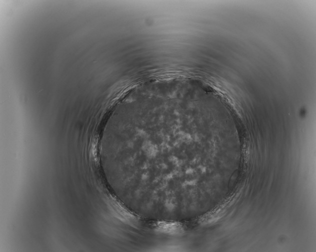 X0000095510185200712211248