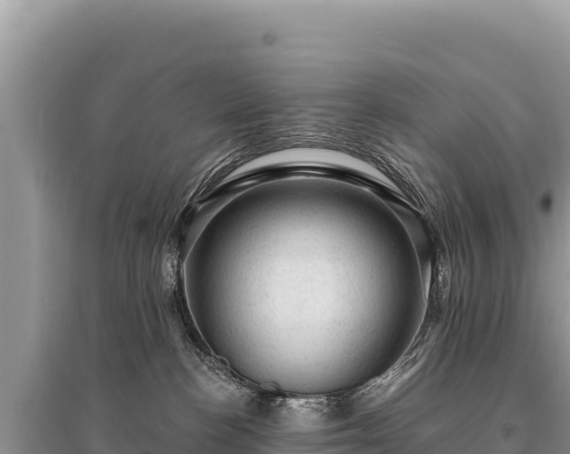 X0000095510188200712211248