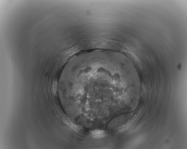 X0000095510189200712211248