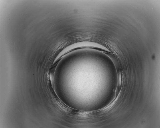 X0000095510190200712211248