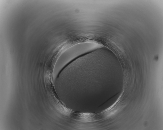 X0000095510192200712211248
