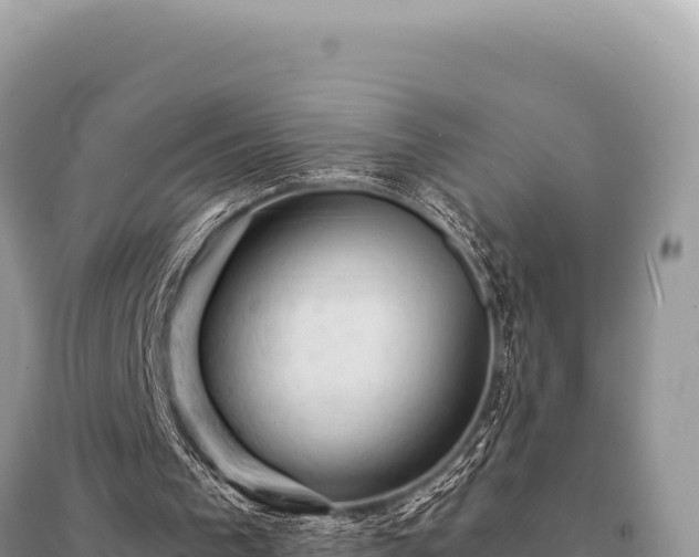 X0000095510193200712211247