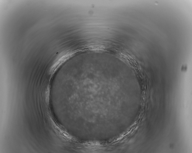 X0000095510194200712211247