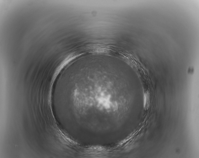 X0000095510195200712211247