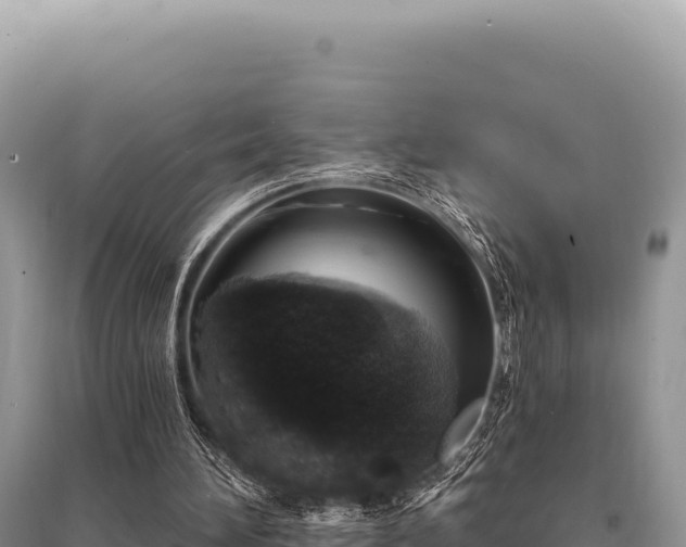 X0000095510196200712211247