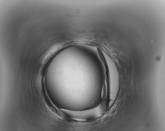 X0000095510197200712211247