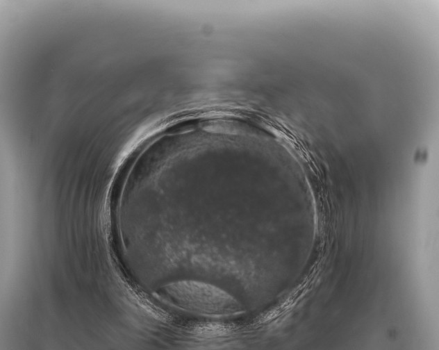 X0000095510198200712211247