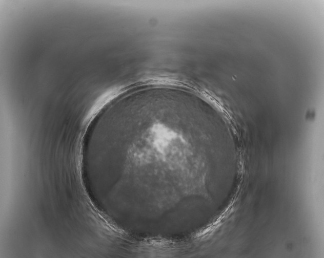 X0000095510199200712211247