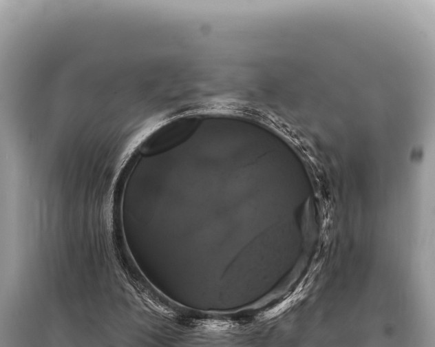 X0000095510200200712211247