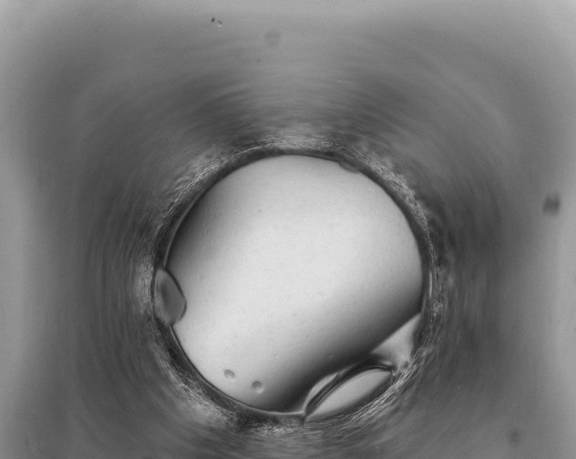 X0000095510201200712211247