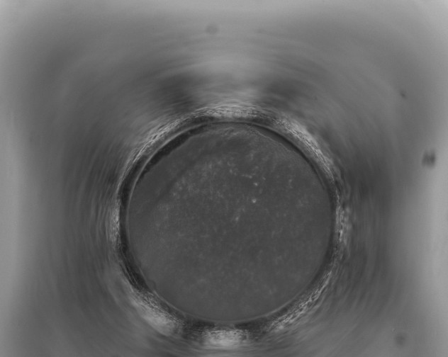 X0000095510202200712211247