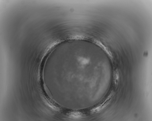 X0000095510203200712211247