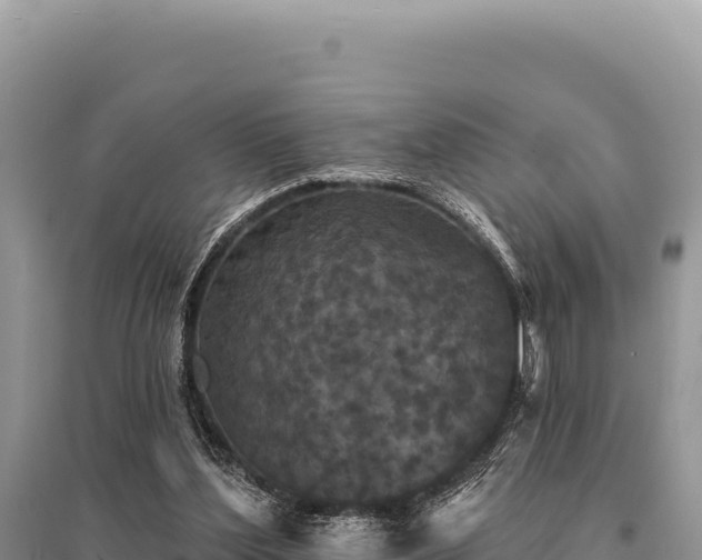 X0000095510204200712211247