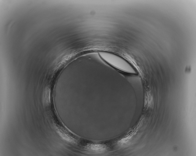 X0000095510205200712211247
