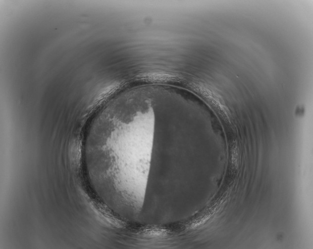 X0000095510206200712211247