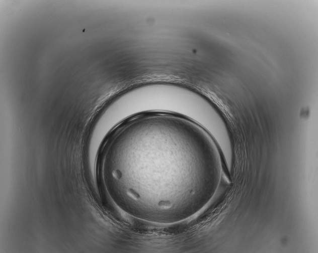 X0000095510207200712211247