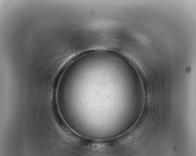 X0000095510208200712211247