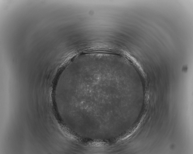X0000095510209200712211247