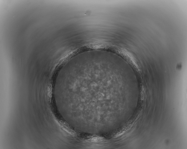X0000095510210200712211247