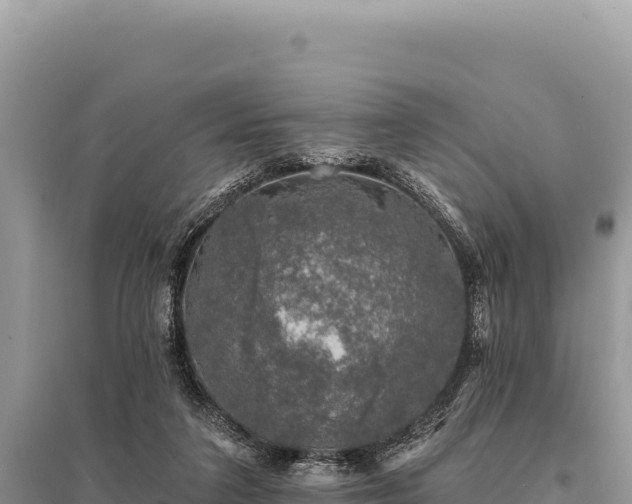 X0000095510211200712211247