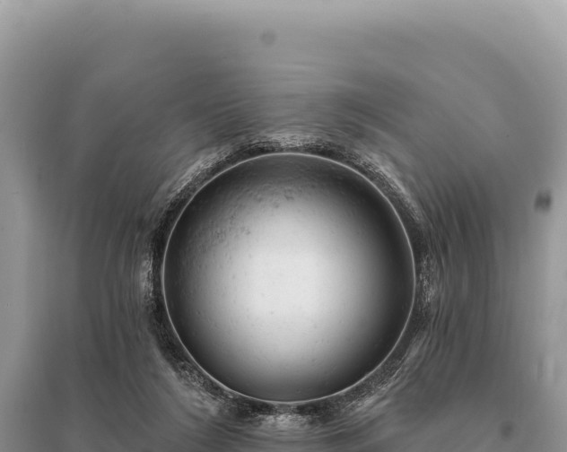 X0000095510212200712211247