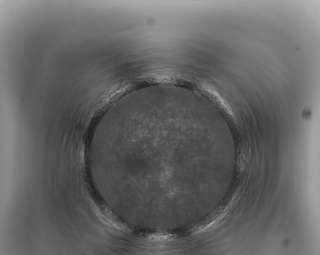 X0000095510213200712211247