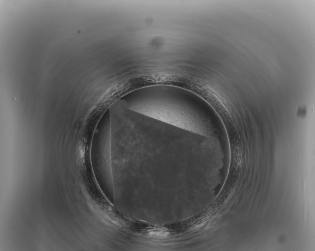 X0000095510214200712211247