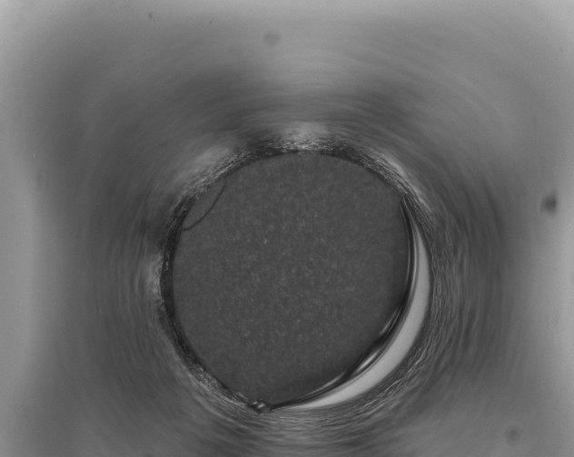 X0000095510217200712211247