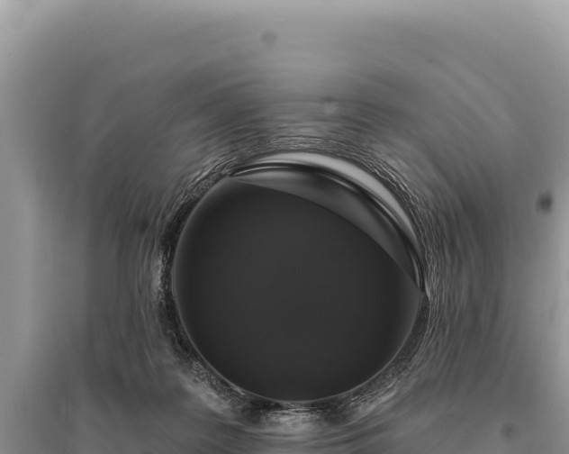 X0000095510219200712211247