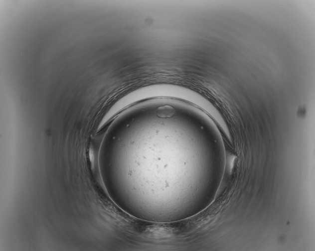 X0000095510221200712211247