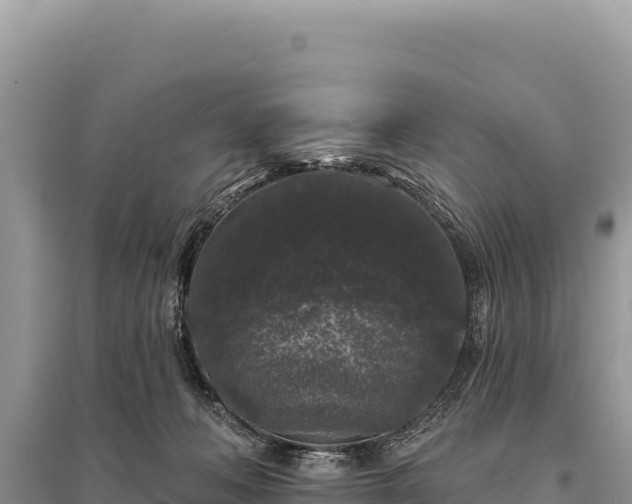 X0000095510222200712211247