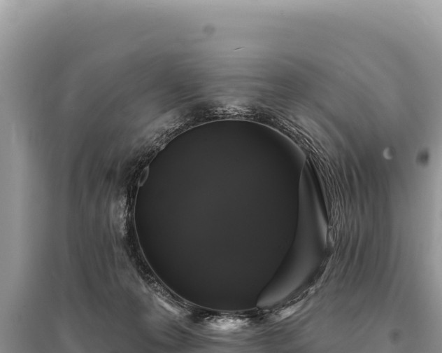 X0000095510223200712211247