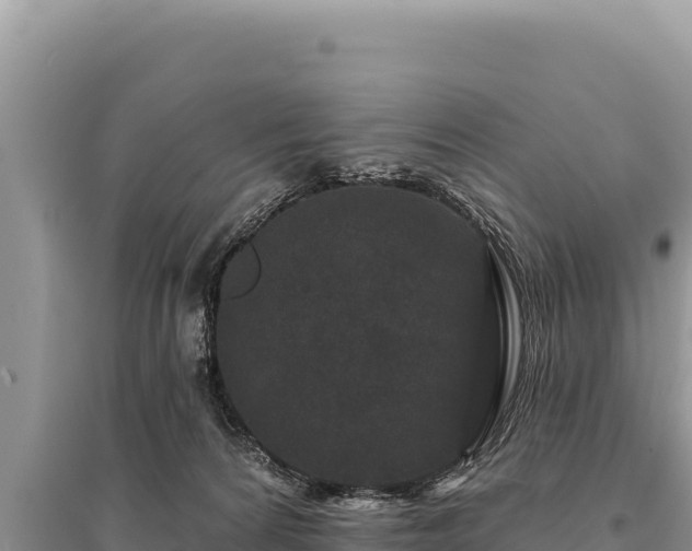 X0000095510224200712211247