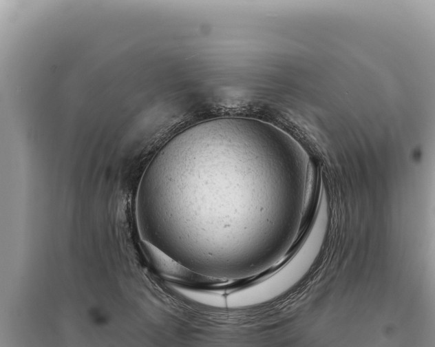 X0000095510225200712211247