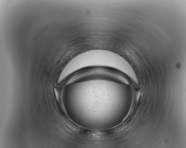 X0000095510229200712211247