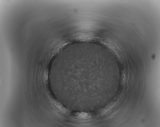 X0000095510230200712211247