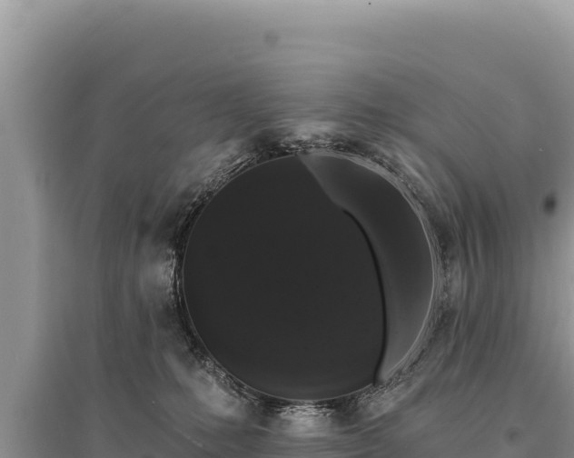 X0000095510231200712211247