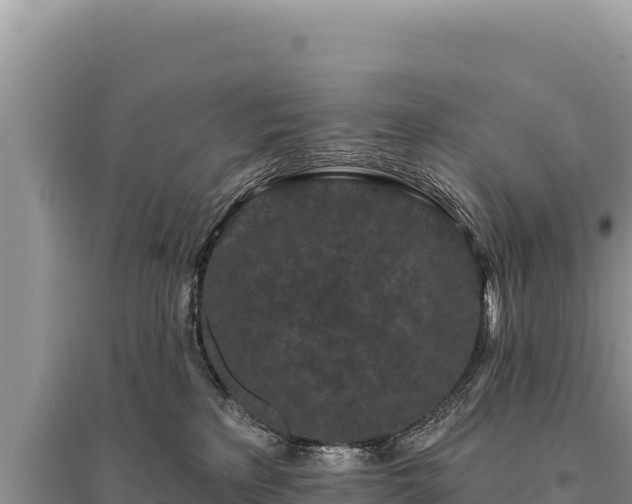 X0000095510233200712211247