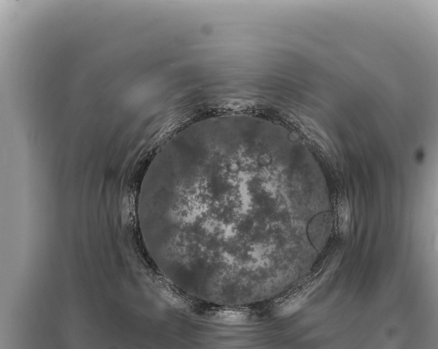 X0000095510236200712211247