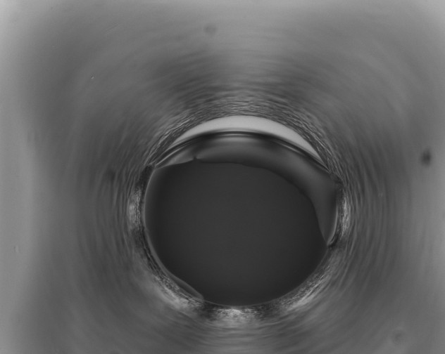 X0000095510239200712211247