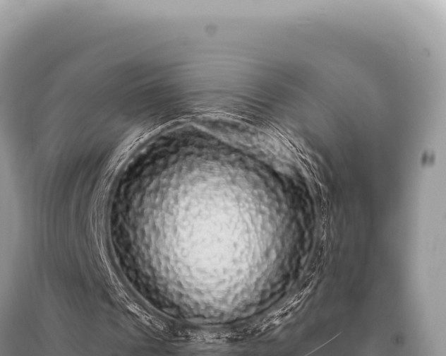 X0000095510241200712211246