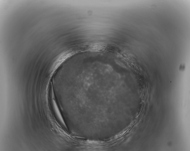 X0000095510242200712211246