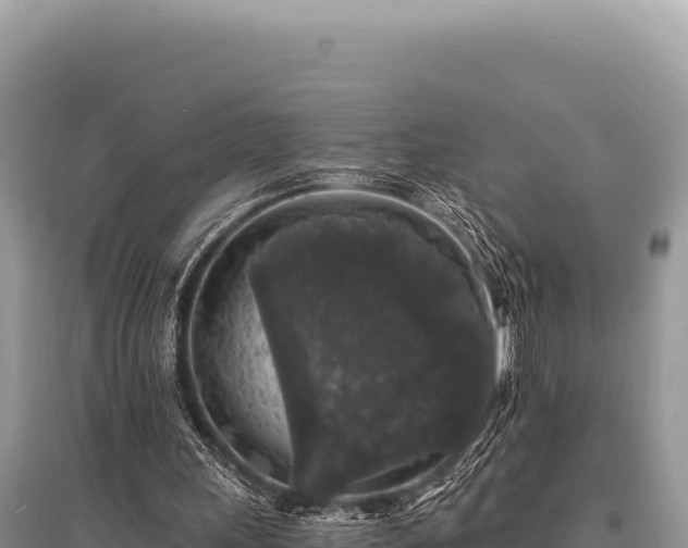 X0000095510243200712211246
