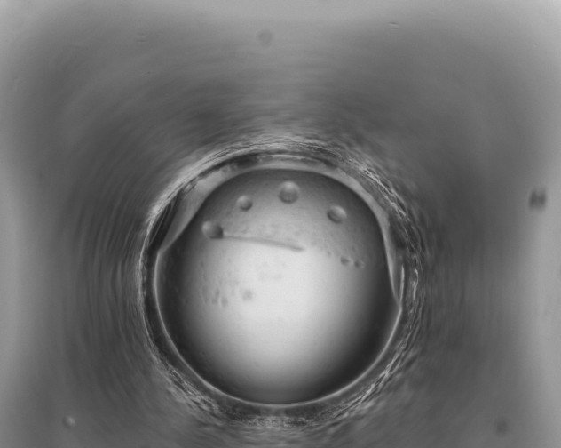 X0000095510244200712211246
